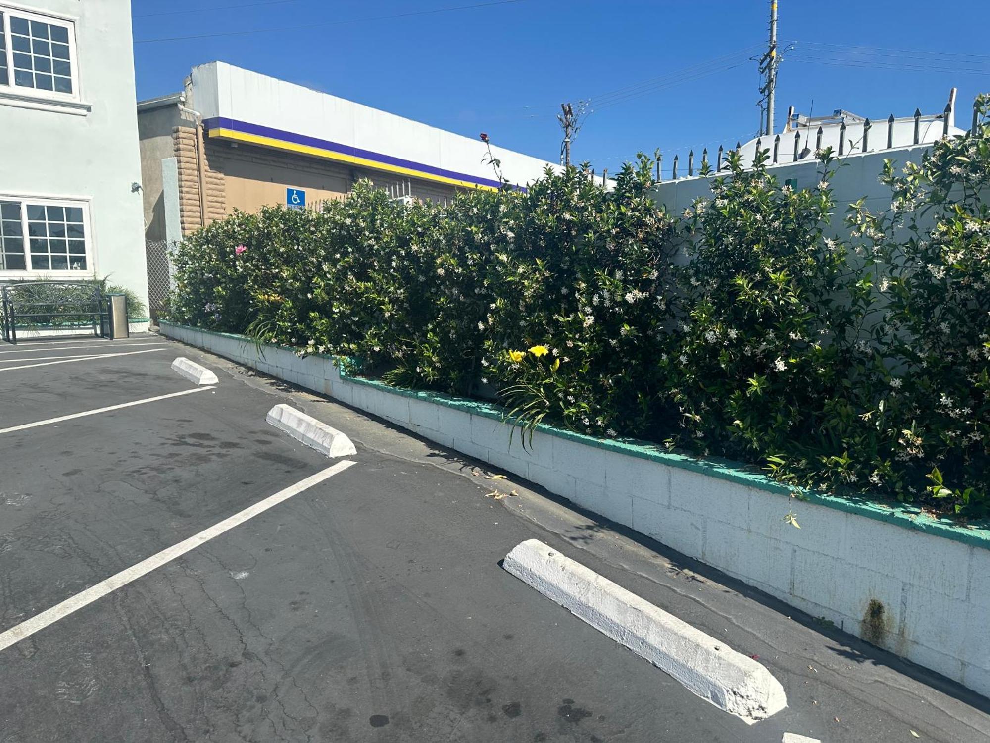 Hotel Super 8 By Wyndham Oceanside Downtown Exterior foto
